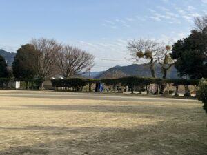 麦島東公園のグラウンド