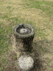 使えなくなった水飲み場