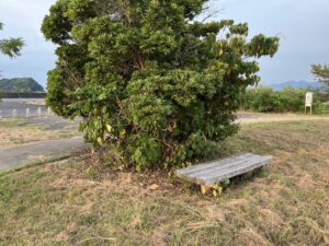 八代市水島町にある万葉の里公園のベンチ３